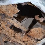 viber kép 2025 09 17 19 57 48 396