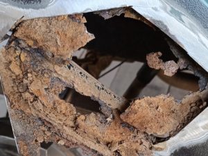 viber kép 2025 09 17 19 57 48 396